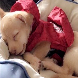 Meet your Posher, Keisha